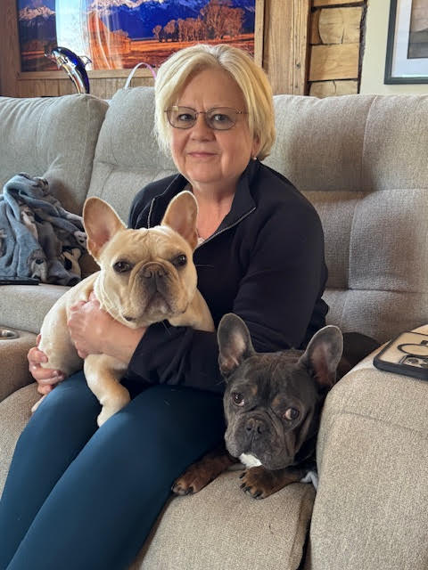 French Bulldogs